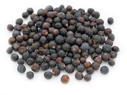 Common Juniper Berries